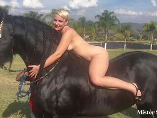 Гол блондинки и horse&colon; ферма снимка стрелям в мексико